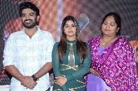Nenu Meeku Baga Kavalsina Vadini Movie Trailer Launch